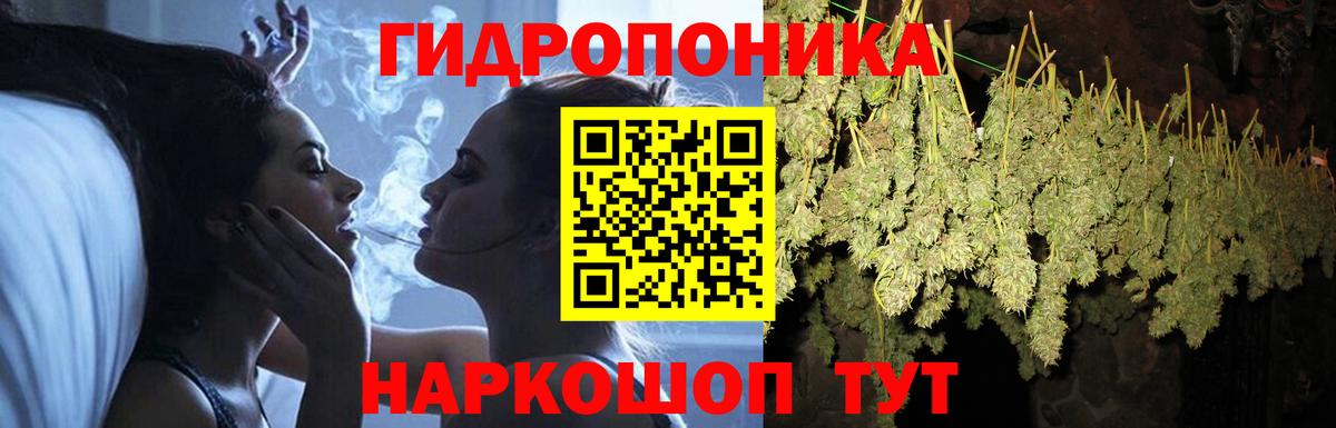 Каннабис конопля  Шишки марихуана ГИДРОПОН  Кингисепп  Вход с VPN 